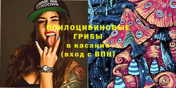 винт Армянск