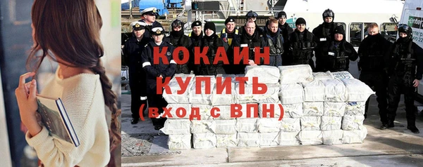 соль ск Арсеньев