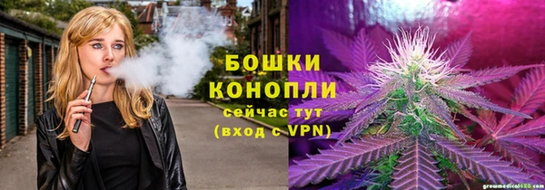 соль ск Арсеньев