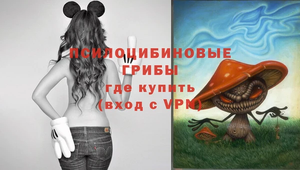 ПСИЛОЦИБИНОВЫЕ ГРИБЫ Аркадак
