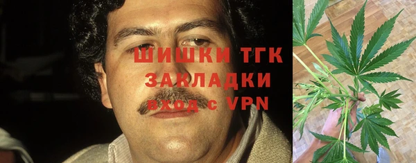 ПСИЛОЦИБИНОВЫЕ ГРИБЫ Аркадак