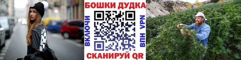 Конопля SATIVA & INDICA  Сясьстрой 